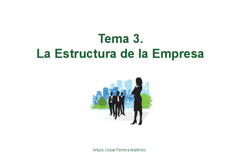 Tema-3-3.1.-La-Estructura-economica-financiera-de-la-empresa.pdf
