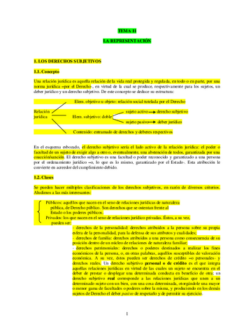 TEMA-11-LA-REPRESENTACION.pdf