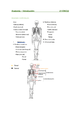 Introducion-a-la-anatomia-humana.pdf