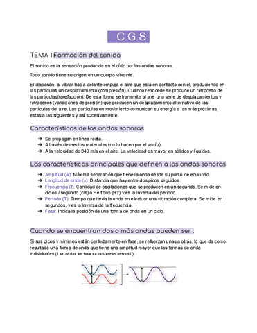 C.G.S.-resumenes.pdf