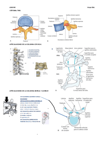 GENERALIDADES-COLUMNA.pdf
