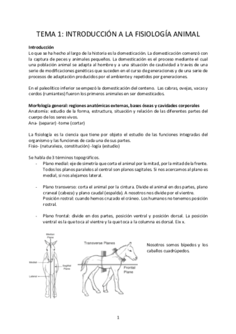 Apunts fisiologia.pdf