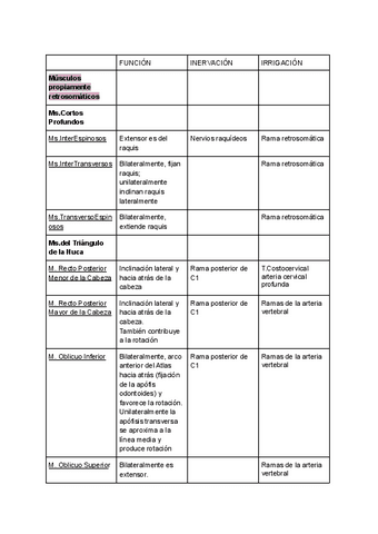 Retrosoma.pdf