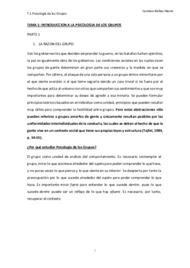resumen T1.pdf