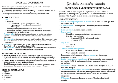 S-mercantiles-especiales-T2PDF.pdf