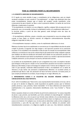 TEMA 10 PATRIMONIAL I.pdf
