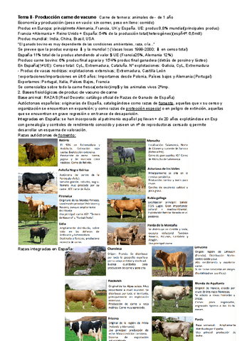 Carne-de-vacuno-8-PMP.pdf