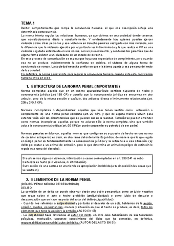 DERECHO-PENAL-I.pdf