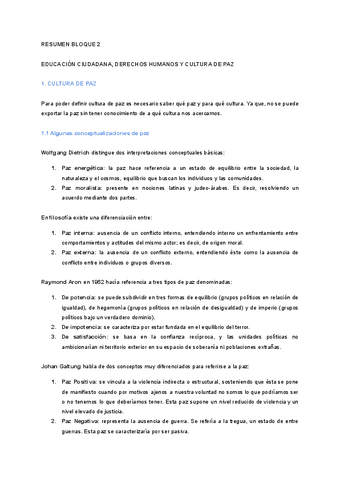 RESUMEN-BLOQUE-2.pdf