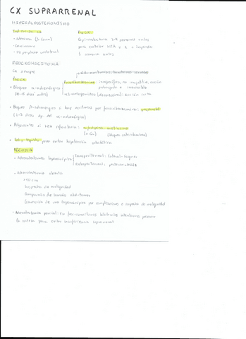 Cirugia-suprarrenal.pdf