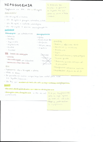 Hipoglucemia-e-insulinoma.pdf