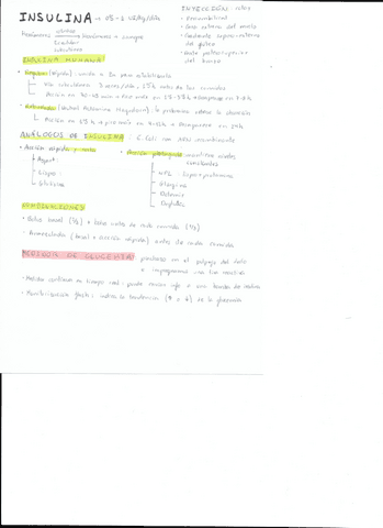 Insulina.pdf