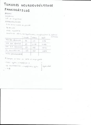 Tumores-neuroendocrinos-pancreaticos.pdf
