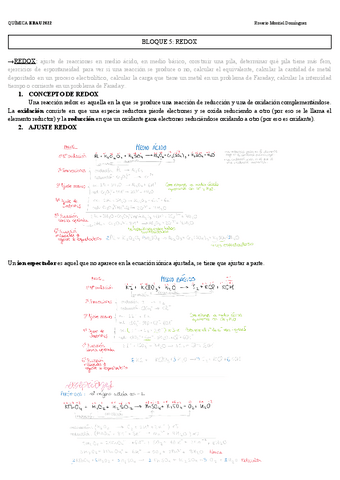 BLOQUE-V-REDOX.pdf