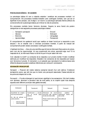 Apunts Psico Bàsica - ADP 1r quatri.pdf