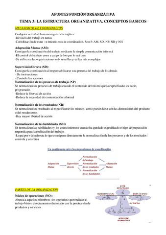 APUNTES-FUNCION-ORGANIZATIVA-tem-3.pdf