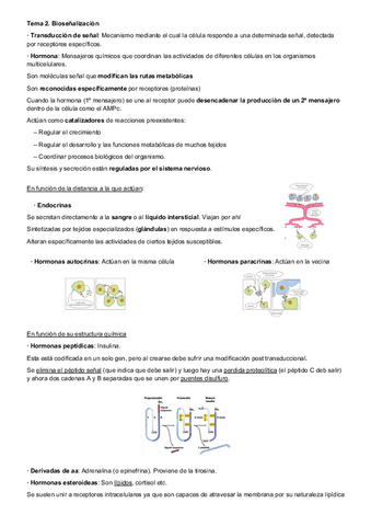 tema-2-bioq.pdf