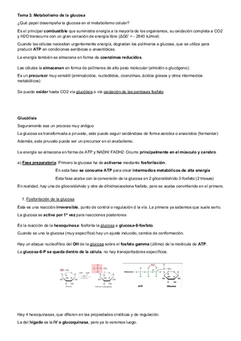 Tema-3-bioquimica.pdf
