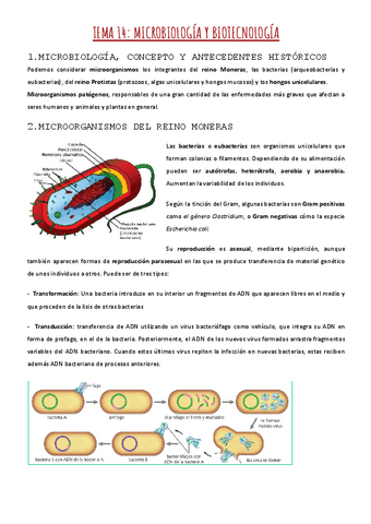 TEMA-14-MICROBIOLOGIA-Y-BIOTECNOLOGIA-1.pdf