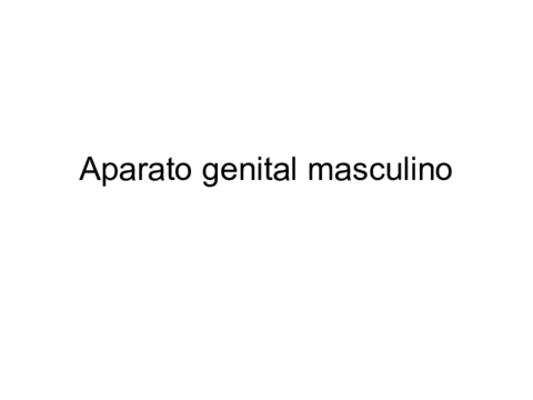 Aparato genital masculino.pdf