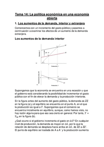 Tema-14-La-politica-economica-en-una-economia-abierta.pdf
