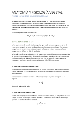 AFV T10.pdf