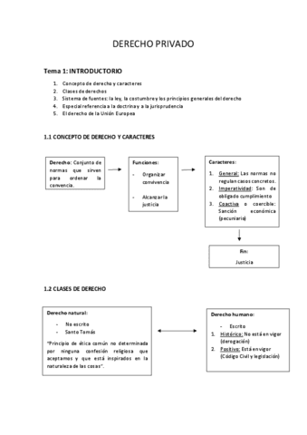 DERECHO-PRIVADO-TEMA-1.pdf