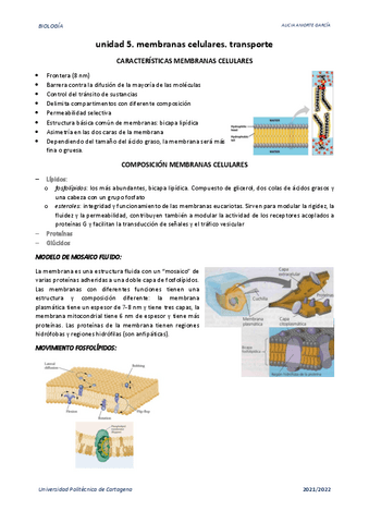 u5.-membranas-celulares.-transporte.pdf