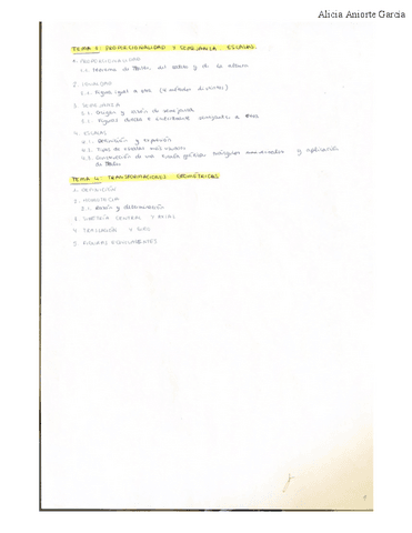 t3.-Proporcionalidad-y-semejanza-4.-Transformaciones.pdf