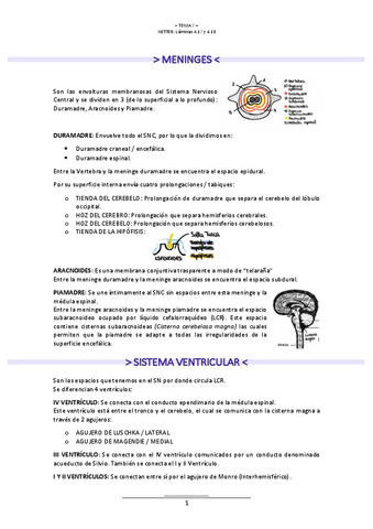 T.7-NEUROLOGIA.pdf
