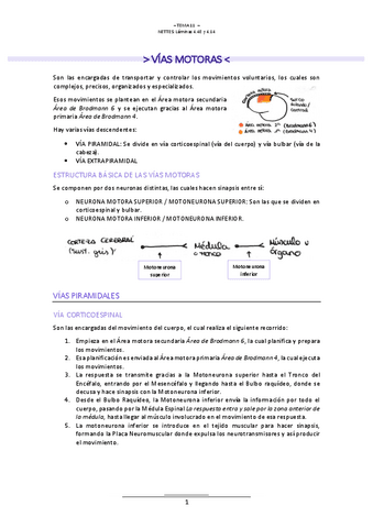T.11-NEUROLOGIA.pdf