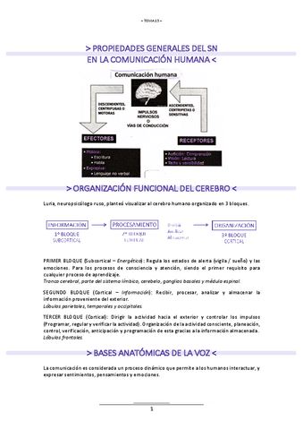 T.13-NEUROLOGIA.pdf