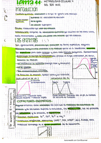 metabolismo-1.pdf