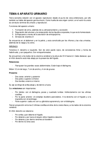 16.-TEMA-6-APARATO-URINARIO.pdf