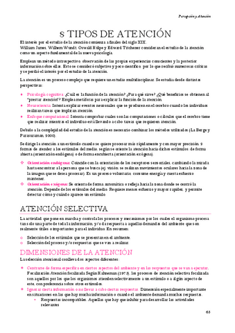 Percepcion-y-atencion-Tema-8.pdf