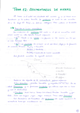 Tema 12 Yacimientos.pdf