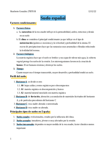 Suelo-espanol.pdf