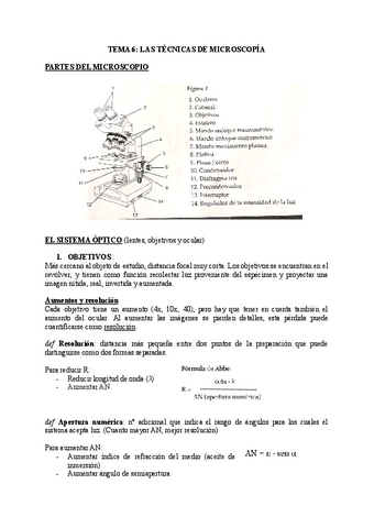 TEMA-6-LAS-TECNICAS-DE-MICROSCOPIA-1.pdf