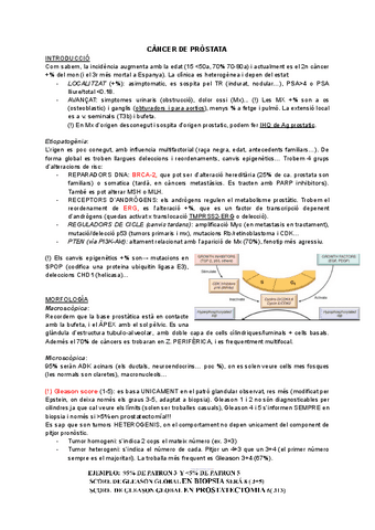 Apa-onco-1-marc.pdf