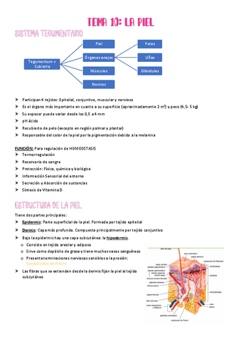 T.-10-LA-PIEL.pdf