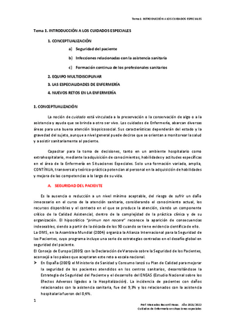 Tema-1-cuidados-especiales-Introduccion.pdf