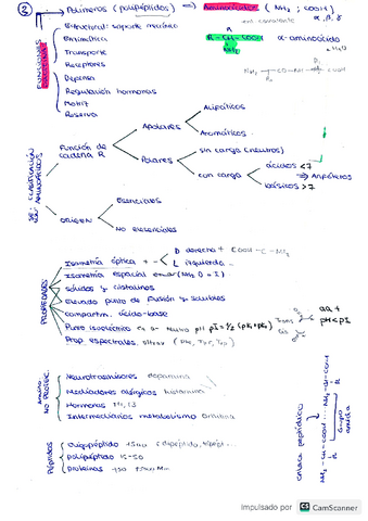 Resumen-nivel-molecular.pdf