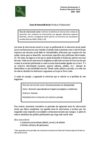 AREAS-DE-INTERVENCION-SOCIAL.pdf