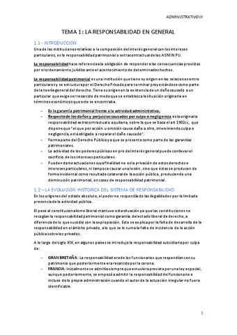 ADMINISTRATIVO-III.pdf
