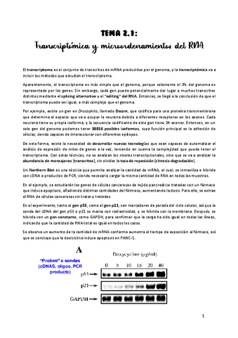 TEMA-2.1.pdf