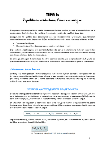TEMA-6.pdf