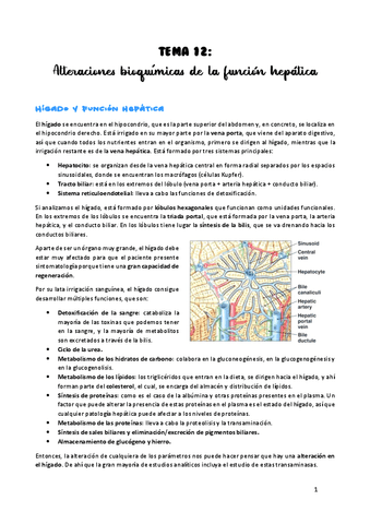 TEMA-12.pdf
