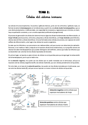 TEMA-2.pdf