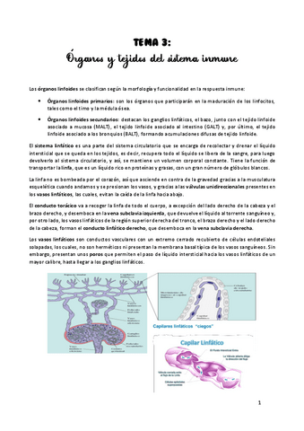TEMA-3.pdf