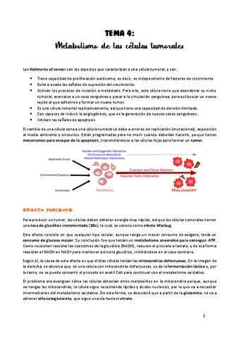 TEMA-4.pdf